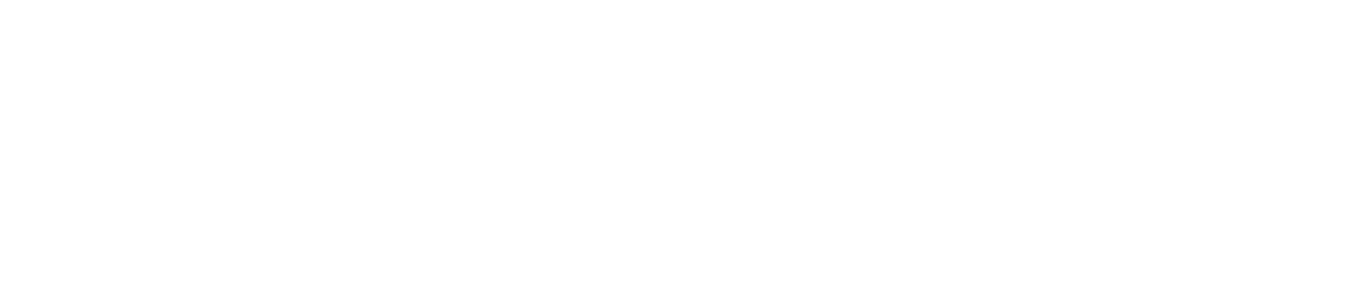Weingut Fleischer Logo